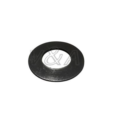 315163080/255 Cup Spring