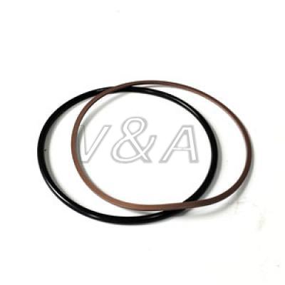 A-00250-240 Back Up Ring