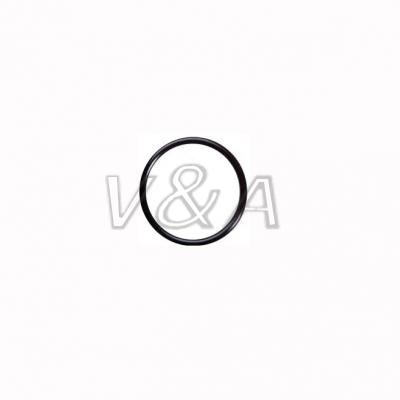 CMS CL-119-06 O-ring